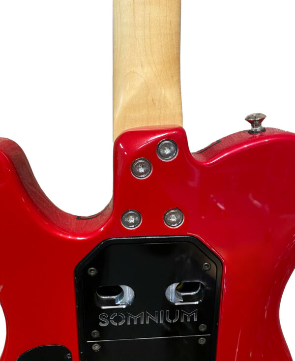 TS Electric Guitar