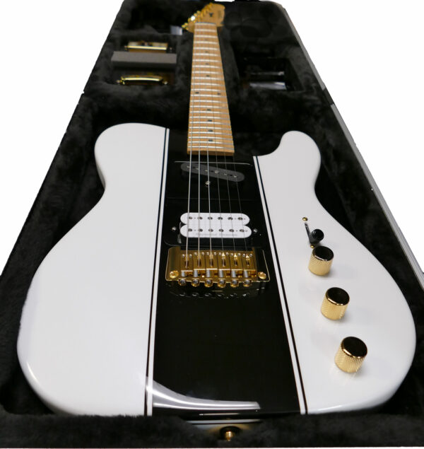 TS Electric Guitar